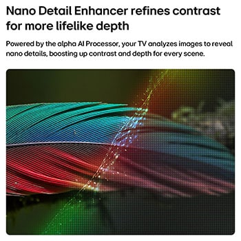 LG NANO 4K UHD AI nu70 with Nano Detail Enhancer shows a feather image, powered by the alpha AI Processor that detects fine textures to enhance contrast and depth and deliver a clearer, more three-dimensional 4K picture.